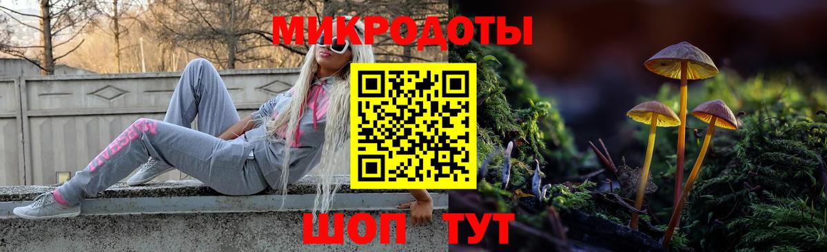 Нурлат  Псилоцибиновые грибы Psilocybe  Псилоцибиновые грибы прущие грибы  Вход с VPN 